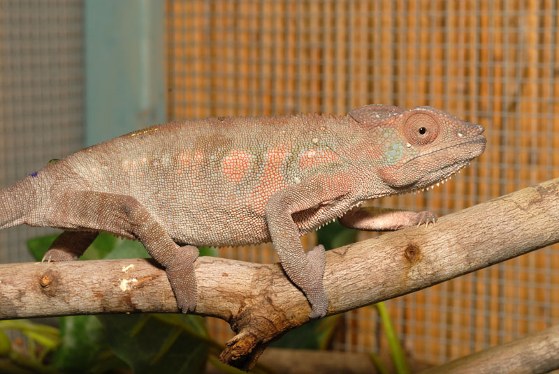 Not interested female
